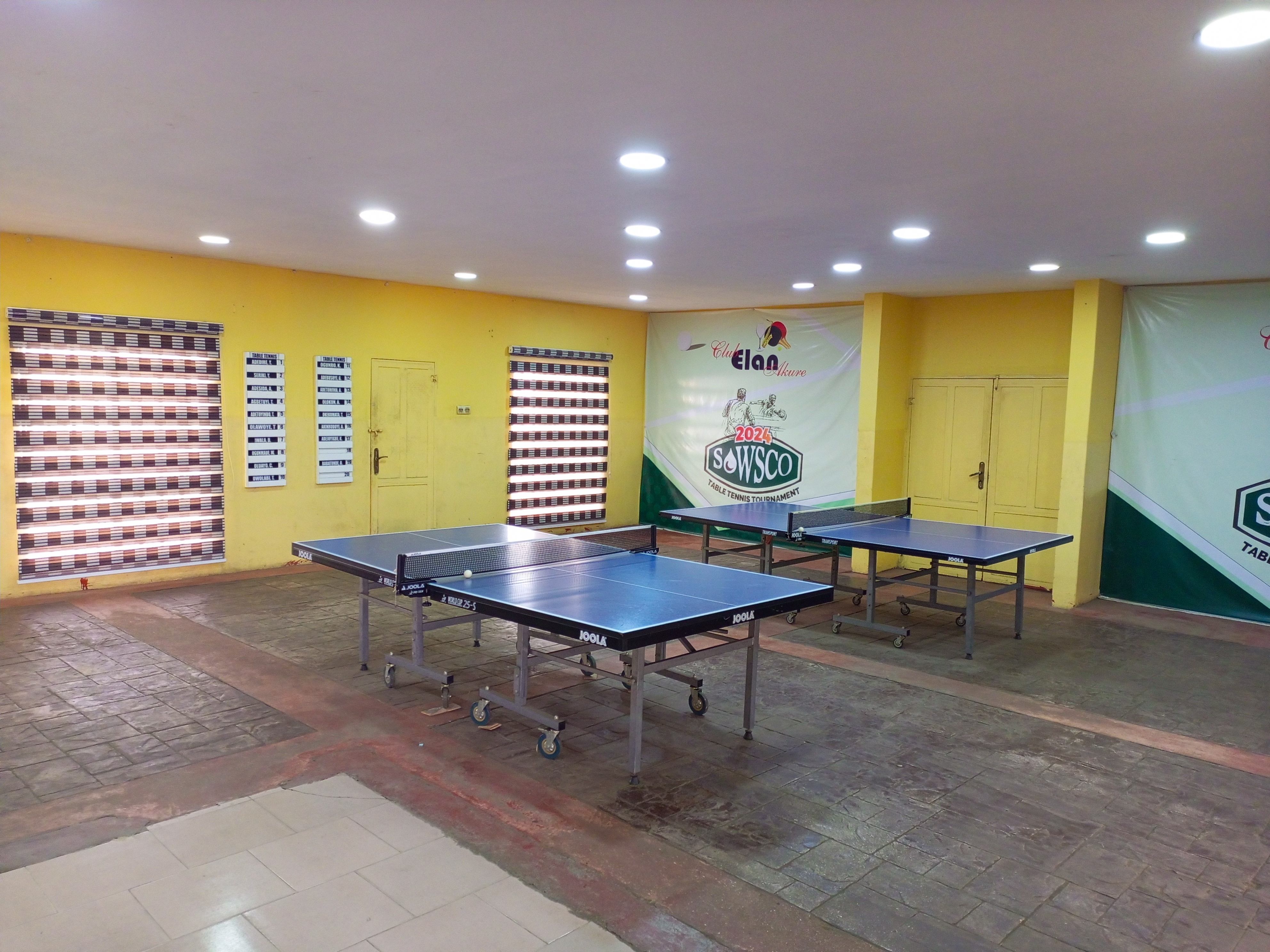 Table Tennis Court